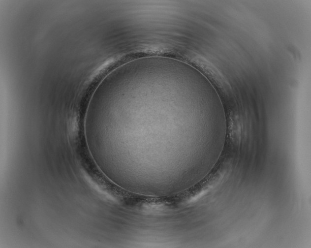 X0000112090208200908041457