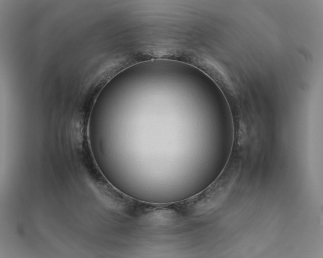 X0000112090210200908041457