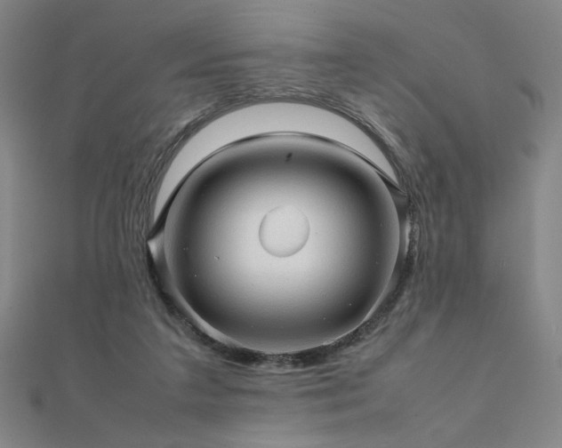 X0000112090211200908041457