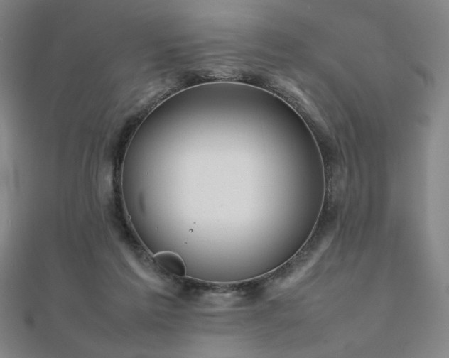 X0000112090213200908041457