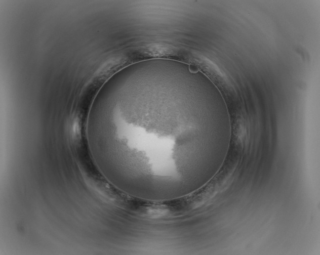 X0000112090214200908041457