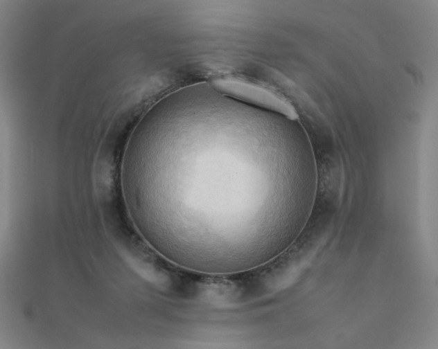 X0000112090215200908041457
