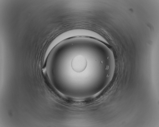 X0000112090217200908041457