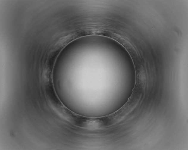 X0000112090218200908041457