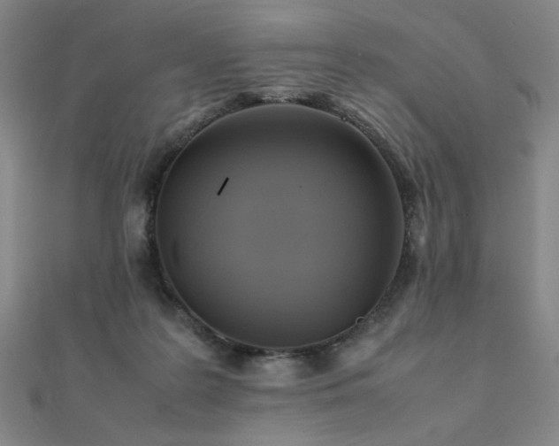 X0000112090219200908041457