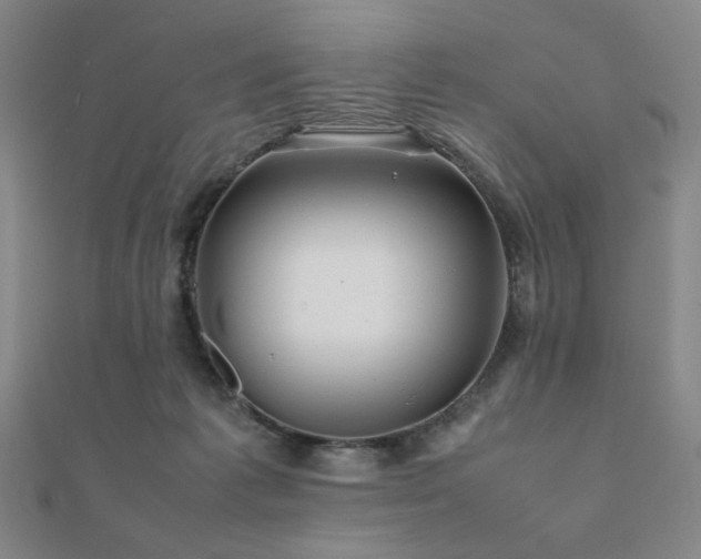 X0000112090221200908041457
