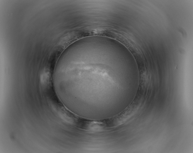 X0000112090222200908041457