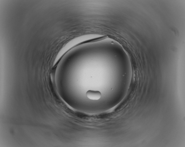 X0000112090223200908041457