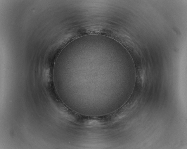 X0000112090224200908041457