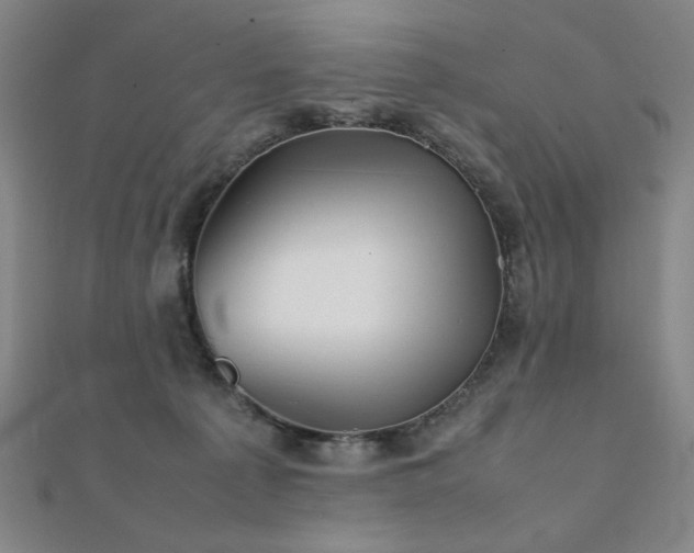 X0000112090225200908041457