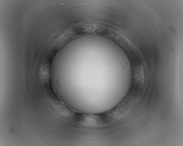 X0000112090226200908041457