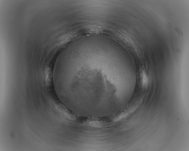 X0000112090228200908041457