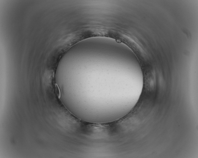 X0000112090229200908041457