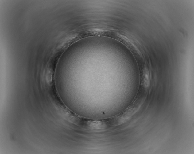 X0000112090230200908041457