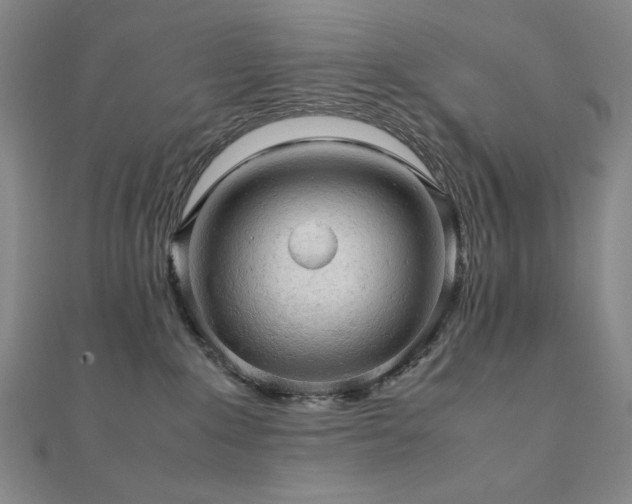 X0000112090235200908041457