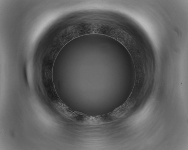 X0000112090239200908041457