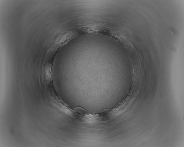 X0000112090240200908041457
