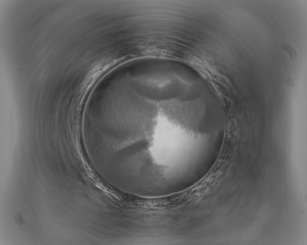X0000112090241200908041456
