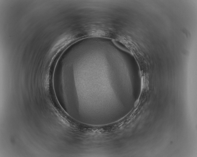 X0000112090243200908041456