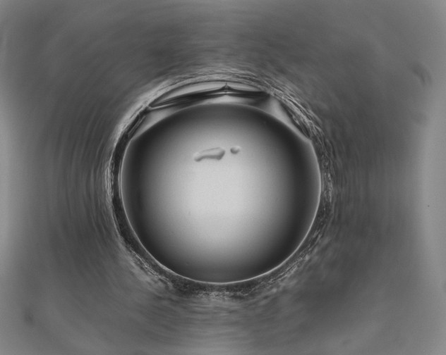 X0000112090244200908041456