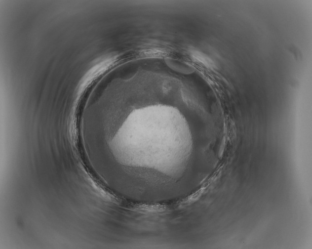 X0000112090245200908041456