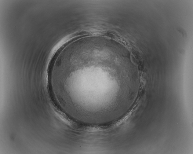 X0000112090246200908041456