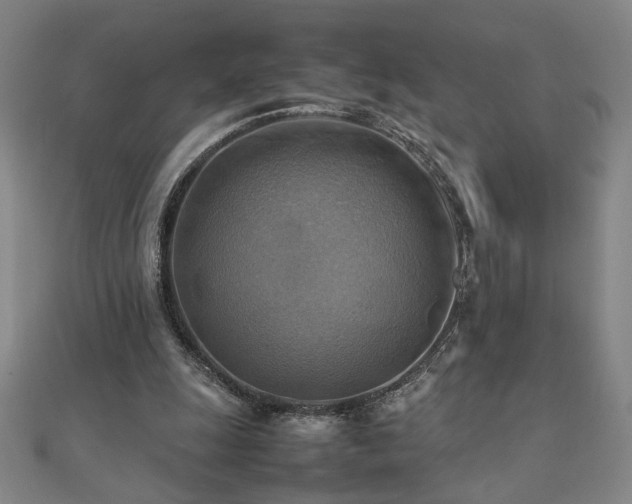 X0000112090247200908041456