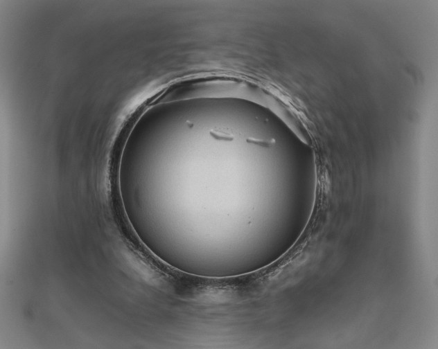 X0000112090248200908041456