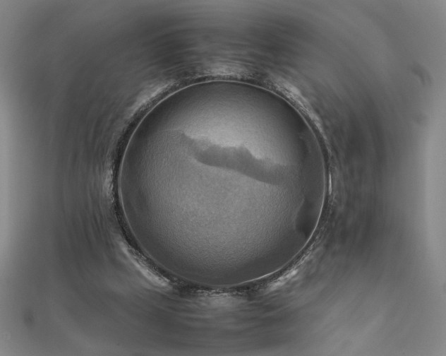 X0000112090249200908041456