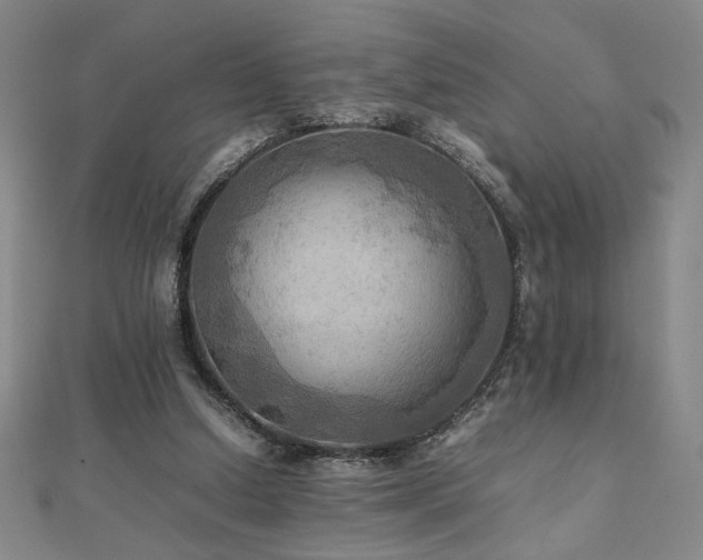 X0000112090250200908041456