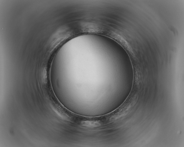 X0000112090251200908041456