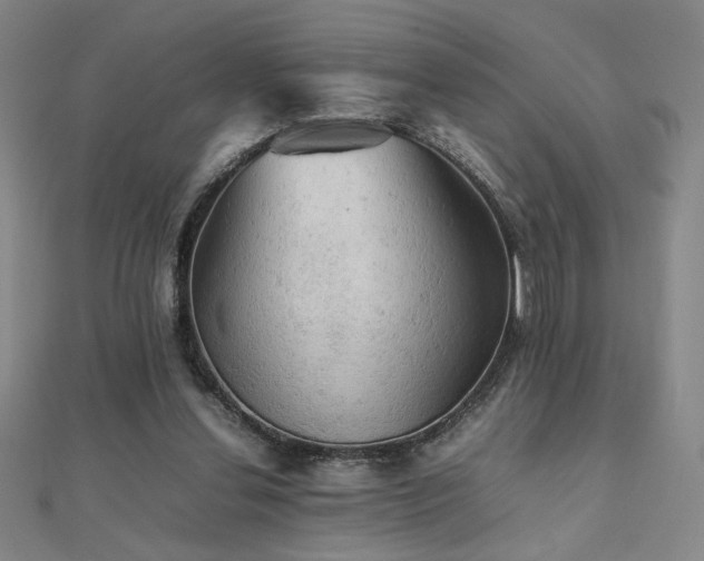 X0000112090252200908041456