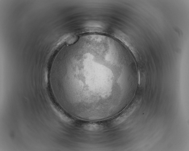 X0000112090253200908041456