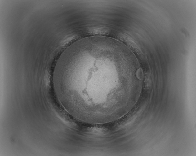 X0000112090255200908041456