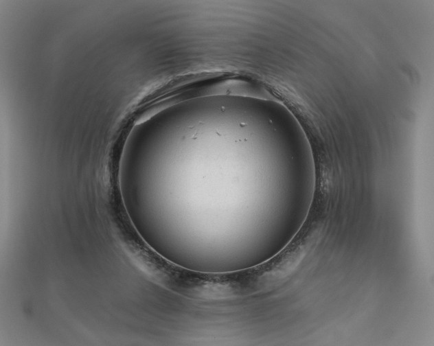 X0000112090256200908041456