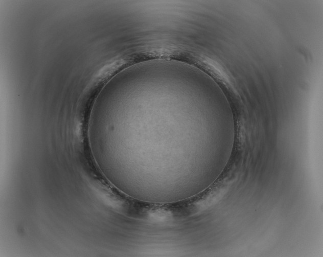 X0000112090258200908041456