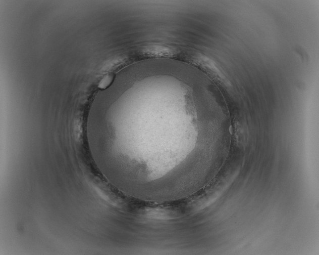 X0000112090259200908041456