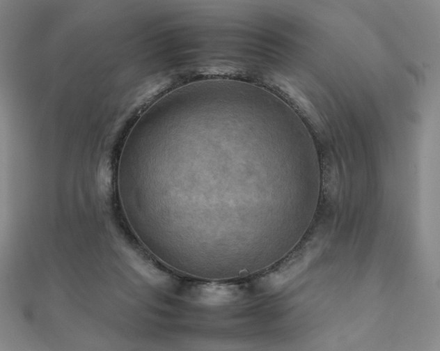 X0000112090261200908041456