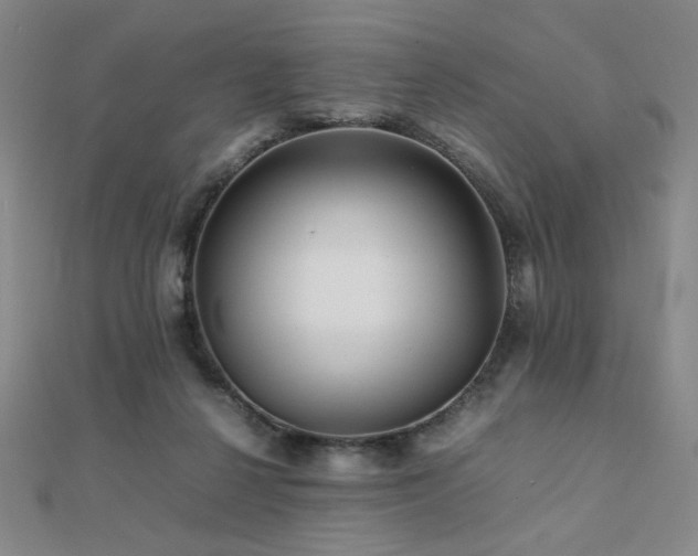 X0000112090264200908041456