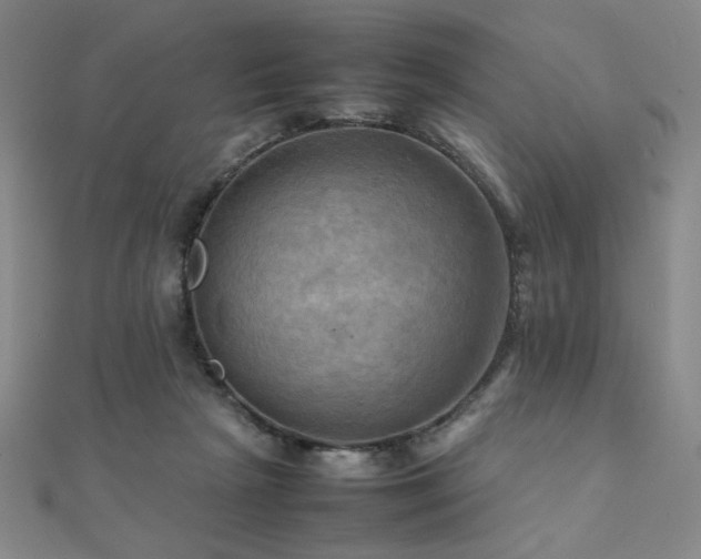 X0000112090265200908041456
