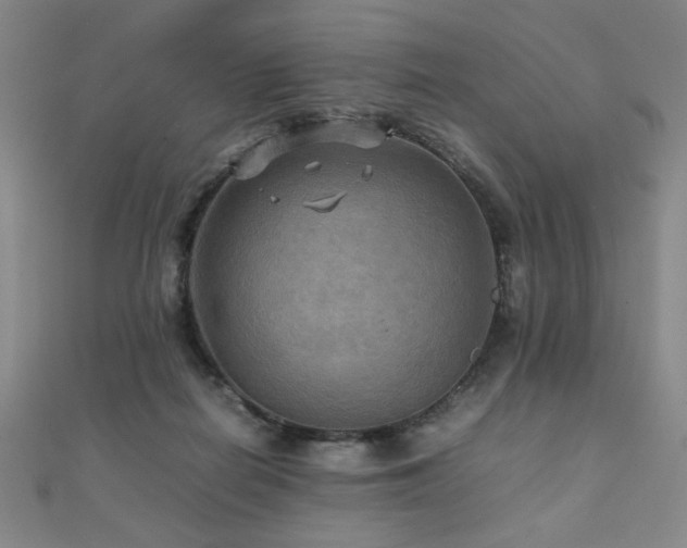 X0000112090266200908041456