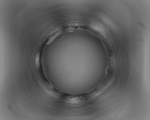X0000112090267200908041456
