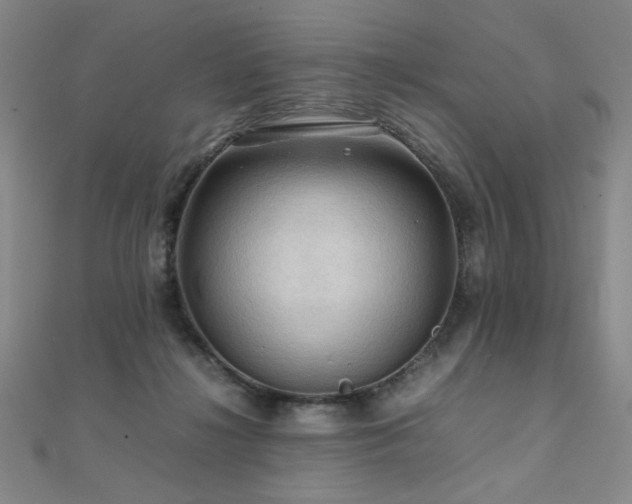X0000112090268200908041456