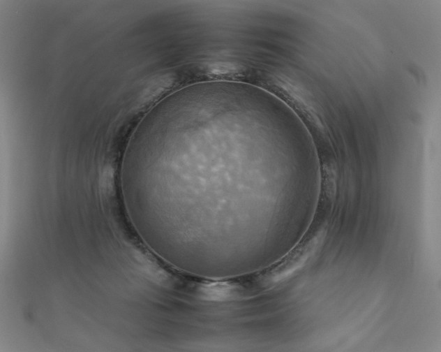 X0000112090269200908041456