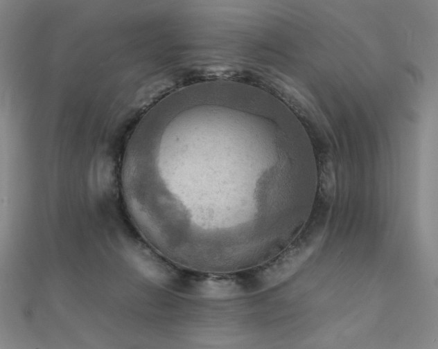 X0000112090270200908041456