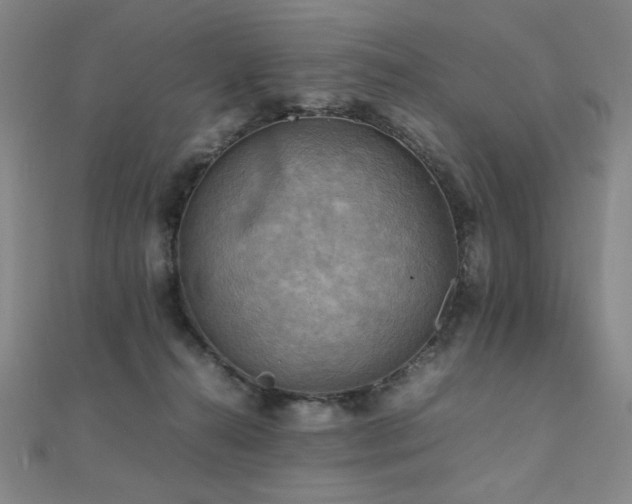 X0000112090272200908041456