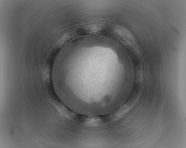 X0000112090274200908041456