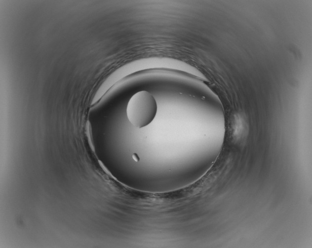 X0000112090276200908041456