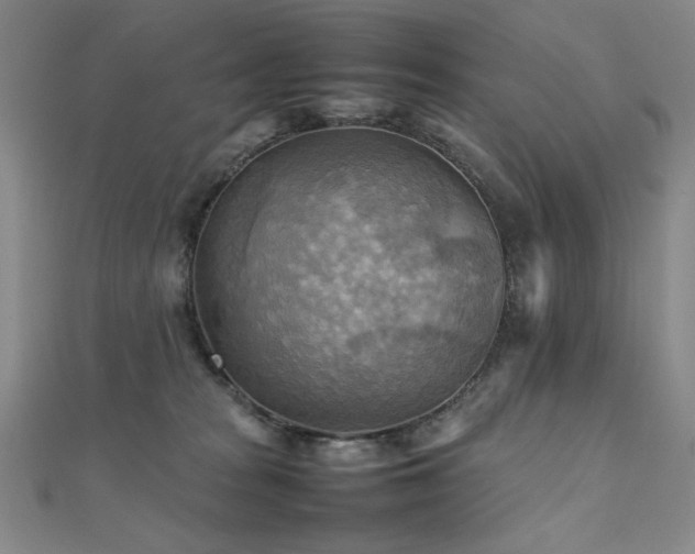 X0000112090277200908041456