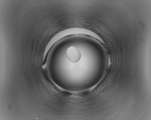 X0000112090280200908041456